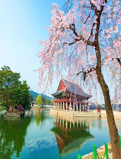 South Korea-South Korea